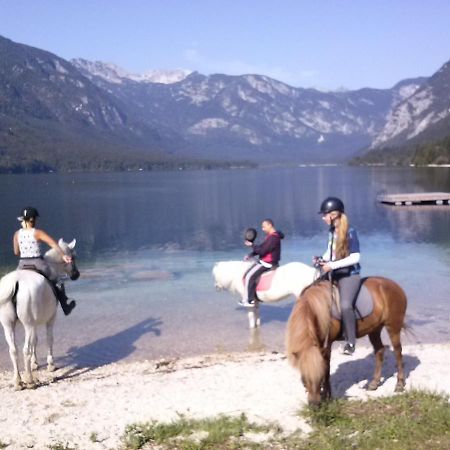 Tubej Mountain Room With Terase Bohinjska Bistrica Kültér fotó