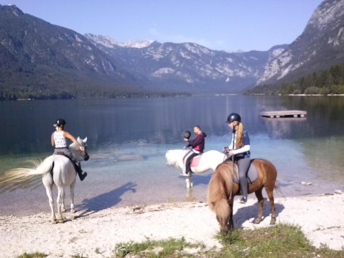 Tubej Mountain Room With Terase Bohinjska Bistrica Kültér fotó